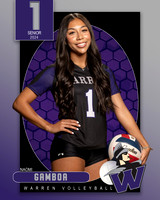 WHS_VAR_VB_IND1-35