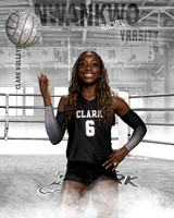 CHS_VAR_VB_IND1-86
