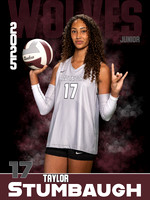 DHS_VB_Var_Ind1-89