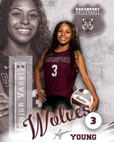 DHS_VB_JV_Ind2-3