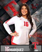THS_JV_VB_IND2-29