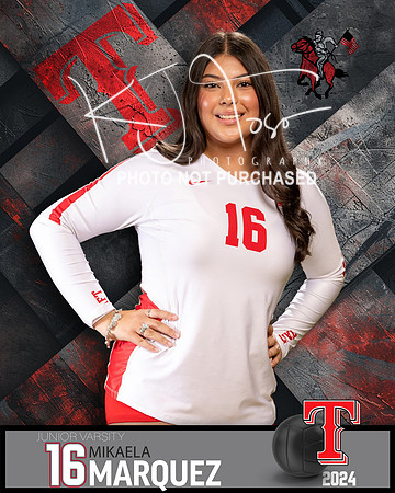 THS_JV_VB_IND2-29
