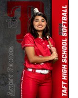 THS_VSB_Ind1-50