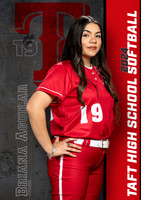 THS_VSB_Ind1-10