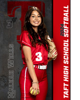 THS_VSB_Ind1-17