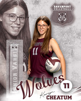 DHS_VB_JV_Ind2-27
