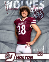 DHS_VAR_FB_IND1-29