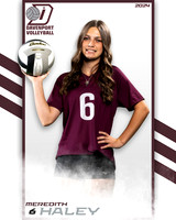 DHS_9th_VB_IND2-53