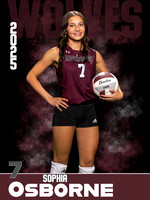 DHS_VB_JV_Ind1-39