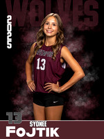 DHS_VB_JV_Ind1-13