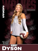 DHS_VB_Var_Ind1-60