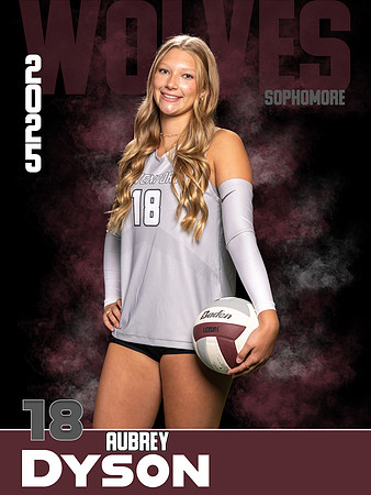 DHS_VB_Var_Ind1-60