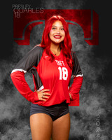 THS_VAR_VB_IND1-33