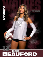 DHS_VB_Var_Ind1-58