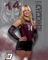 DHS_VAR_VB_IND1-29