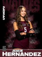 DHS_VB_JV_Ind1-21
