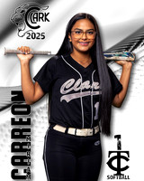 CHS_JVSB_Ind1-91