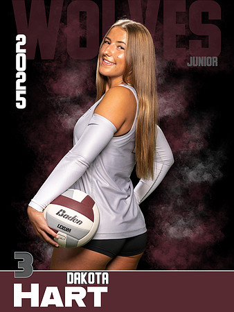 DHS_VB_Var_Ind1-48