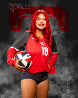 THS_VAR_VB_IND1-50