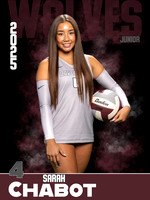 DHS_VB_Var_Ind1-34