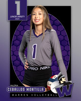 WHS_JV_VB_IND1-43
