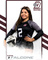 DHS_JV_VB_IND2-38