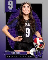 WHS_VAR_VB_IND1-43