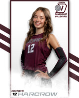 DHS_VAR_VB_IND2-12