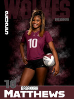 DHS_VB_9th_Ind1-36