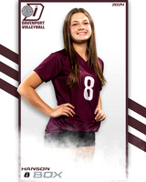 DHS_9th_VB_IND2-19