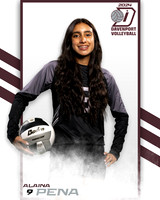 DHS_JV_VB_IND2-33