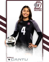 DHS_JV_VB_IND2-40