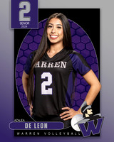 WHS_VAR_VB_IND1-2