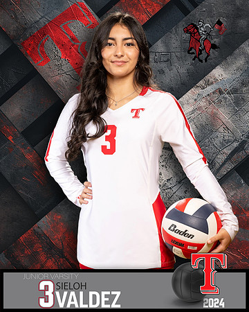 THS_JV_VB_IND2-51