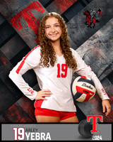 THS_JV_VB_IND2-47