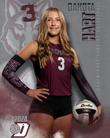 DHS_VAR_VB_IND1-33