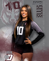 DHS_JV_VB_IND1-10