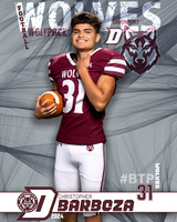 DHS_VAR_FB_IND1-94