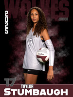 DHS_VB_Var_Ind1-59