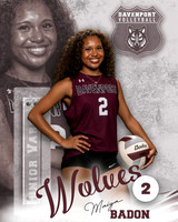 DHS_VB_JV_Ind2-2
