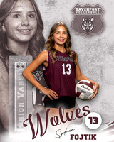 DHS_VB_JV_Ind2-13