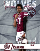 DHS_VAR_FB_IND1-91