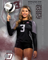 DHS_JV_VB_IND1-51