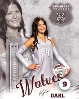 DHS_VB_Var_Ind2-9