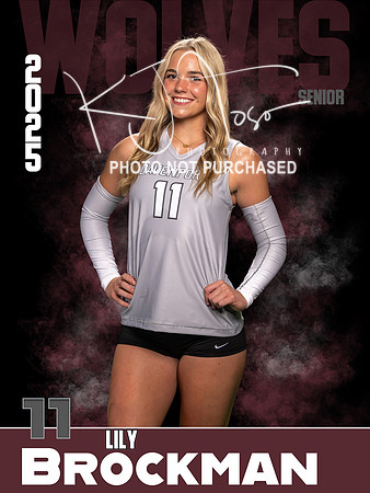 DHS_VB_Var_Ind1-11