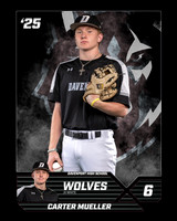 6 - Carter Mueller