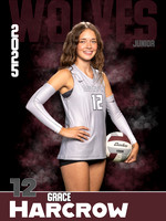 DHS_VB_Var_Ind1-42