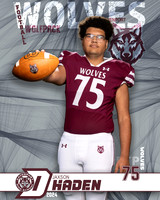 DHS_VAR_FB_IND1-118