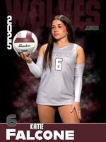 DHS_VB_Var_Ind1-66