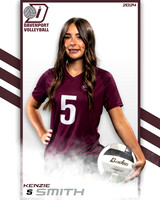 DHS_9th_VB_IND2-40